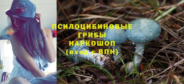 герыч Алзамай