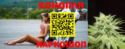 дмт Кинель