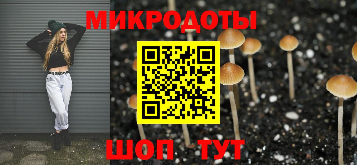 Псилоцибиновые грибы Cubensis  Псилоцибиновые грибы Magic Shrooms  Вход с VPN  Георгиевск 